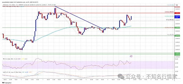 从加密极客到火人节信徒：一场关于另类社会的深度朝圣之旅