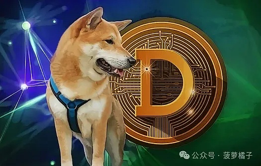 8月DOGE行情深度解析：30亿持仓暗藏玄机，暴涨前夜来了？
