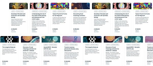 HyperLend：为Hyperliquid生态注入资本活力的关键基建