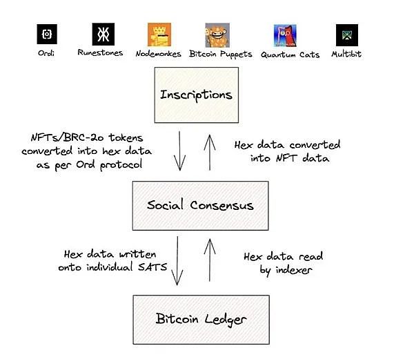 手把手教你开发首个Cartesi DApp：从零到一的完整指南