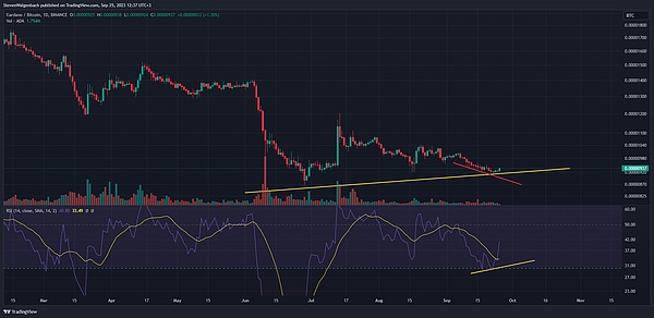 新加坡加密峰会观察：华人缺席的Web3世界还能走多远？